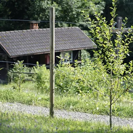Haus Ingrune *